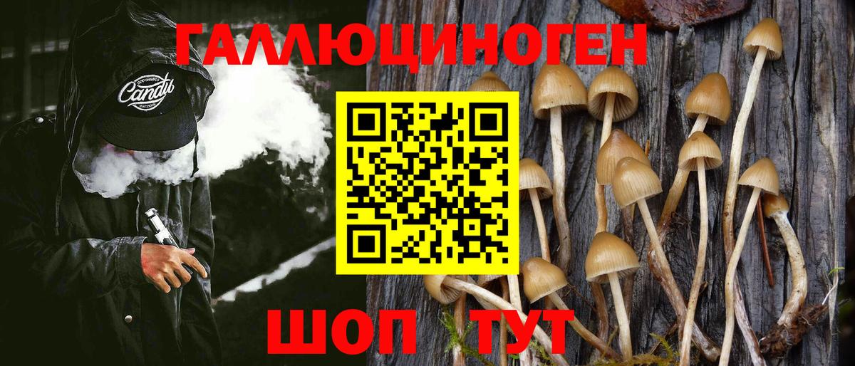 Псилоцибиновые грибы GOLDEN TEACHER  Галлюциногенные грибы Magic Shrooms  Вход с VPN  Губкин 