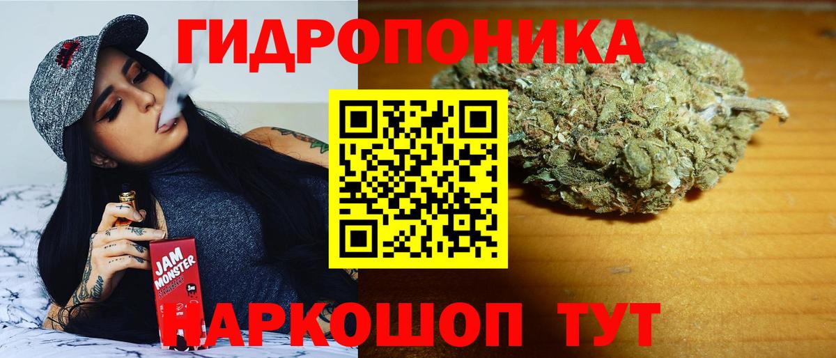 Канабис индика  Шишки марихуана планчик  Канабис SATIVA & INDICA  Вход с VPN  МАРИХУАНА SATIVA & INDICA  Губкин 