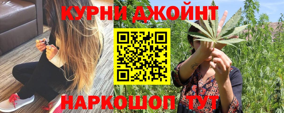 МАРИХУАНА гибрид Губкин